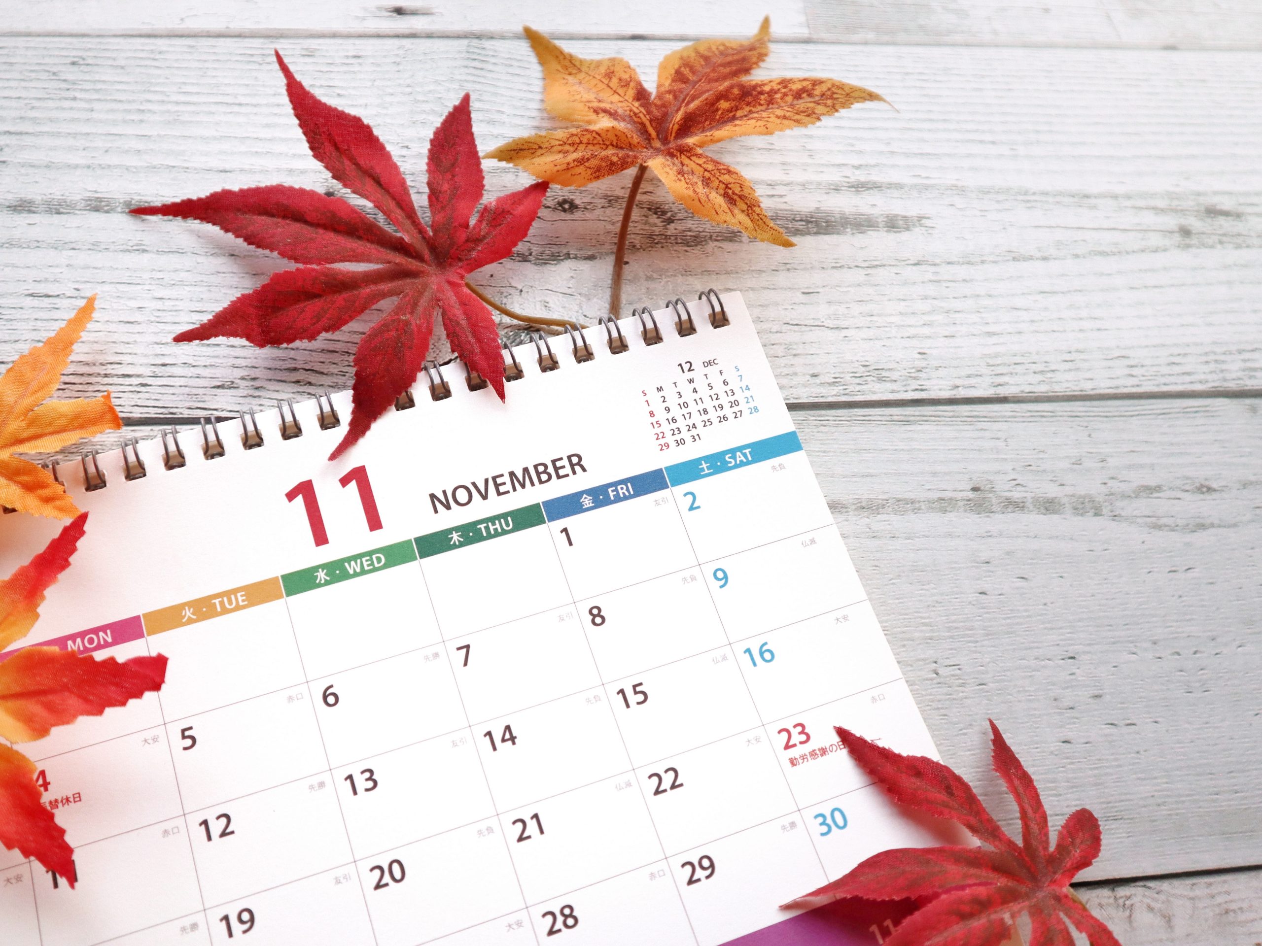 七五三の正式な日取りは11月15日。最近では、家族の予定などに合わせて決めてもOK。