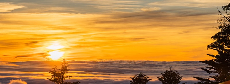 【2026年開運カレンダー付き】一粒万倍日×天赦日の最強開運日、縁起の良い開運日や吉日を一挙にご紹介します。